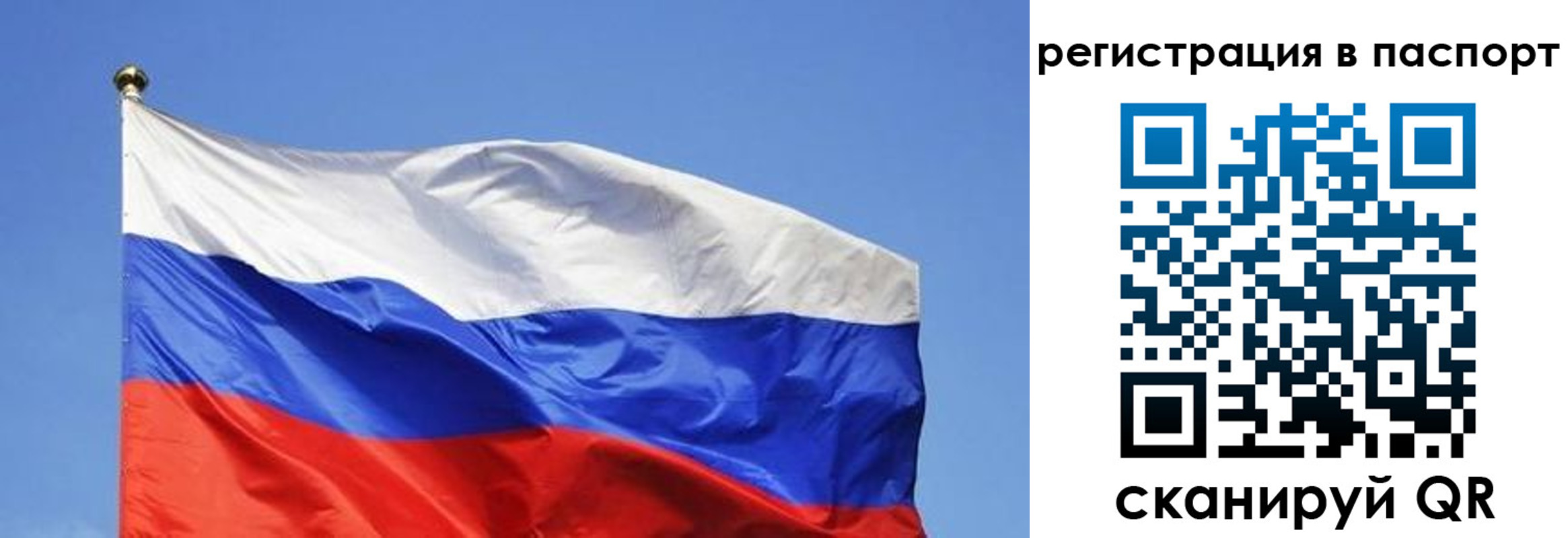 прописка в квартире в Партизанске